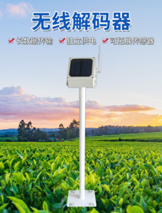 解码器